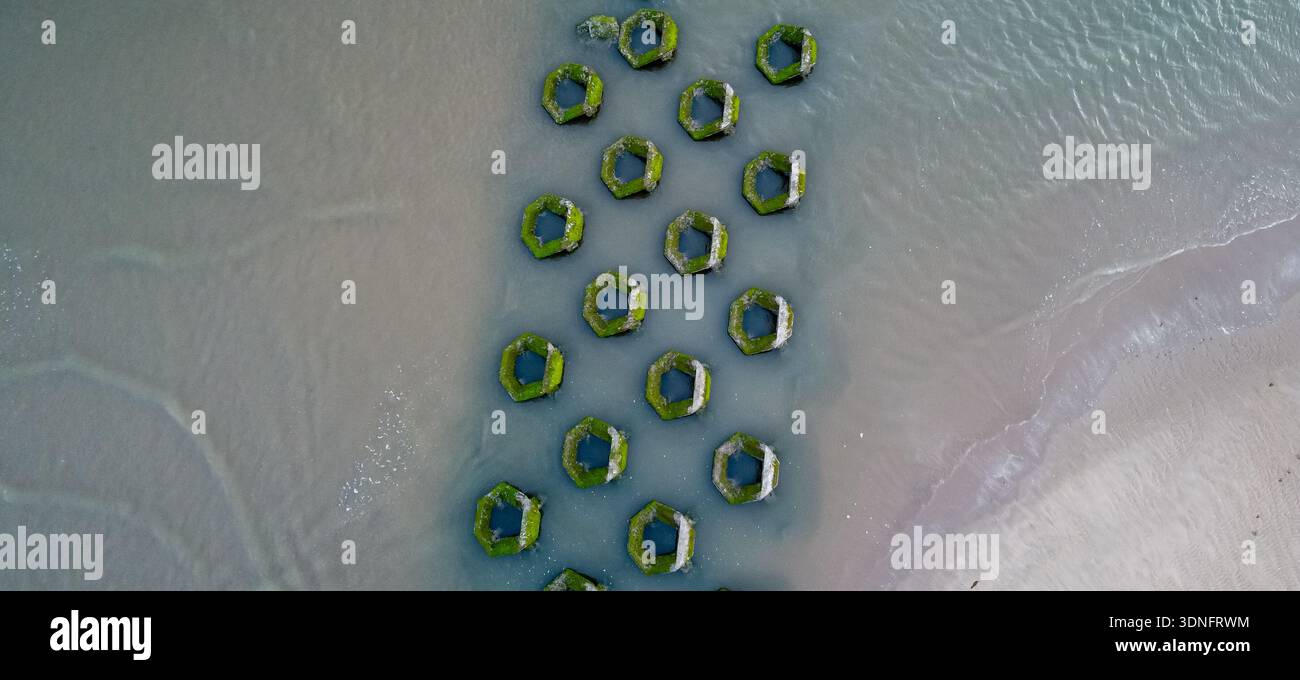 Luftaufnahme von moosbedeckten sechseckigen Betonabwehranlagen in Flachwasser Stockfoto