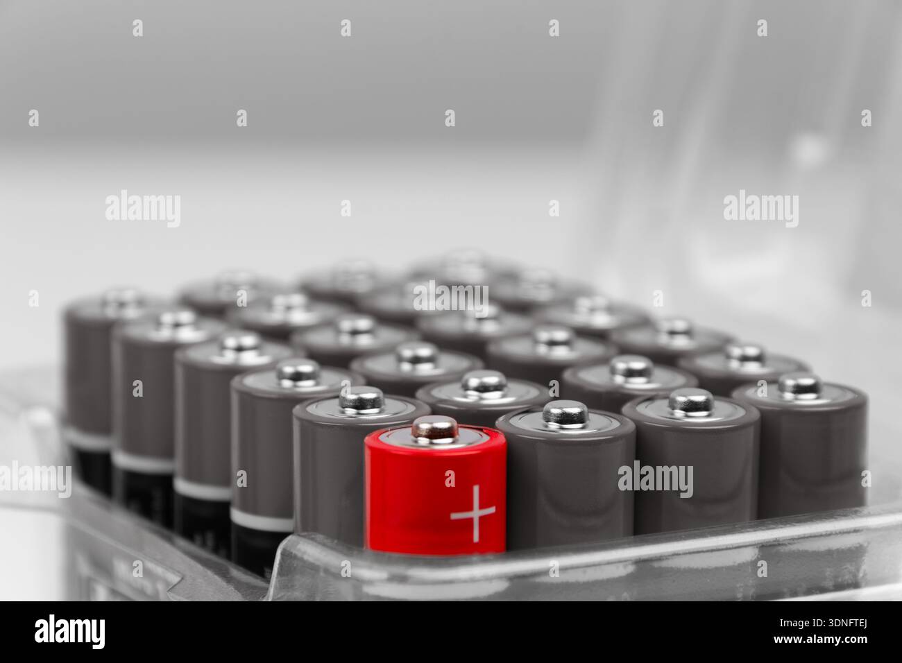 Das Foto zeigt ein präzises symmetrisches Layout von 24 Mignonzells in einem 4 x 6 Raster in einer durchsichtigen Plastikhülle; die vorderste Zelle trägt ein p Stockfoto