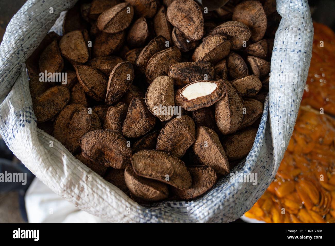 Frische Bio-Paranüsse zum Verkauf auf einem Markt in Manaus, Amazonas, Brasilien. Landwirtschaftliche Familienbetriebe. Bertholletia excelsa. Konzept der gesunden Ernährung, Stockfoto