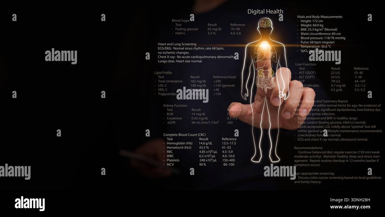 Digitales Gesundheitskonzept. Handpunkte an der Schnittstelle des menschlichen Körpers. Ergebnisse der medizinischen Untersuchung, Vitalparameter, innere Organe, Analyse von Gesundheitsdaten. Wellness-Te Stockfoto