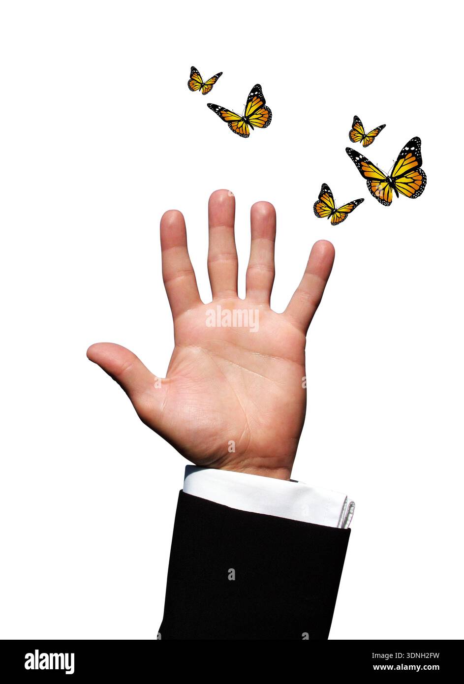 Schmetterlinge und Hand Stockfoto