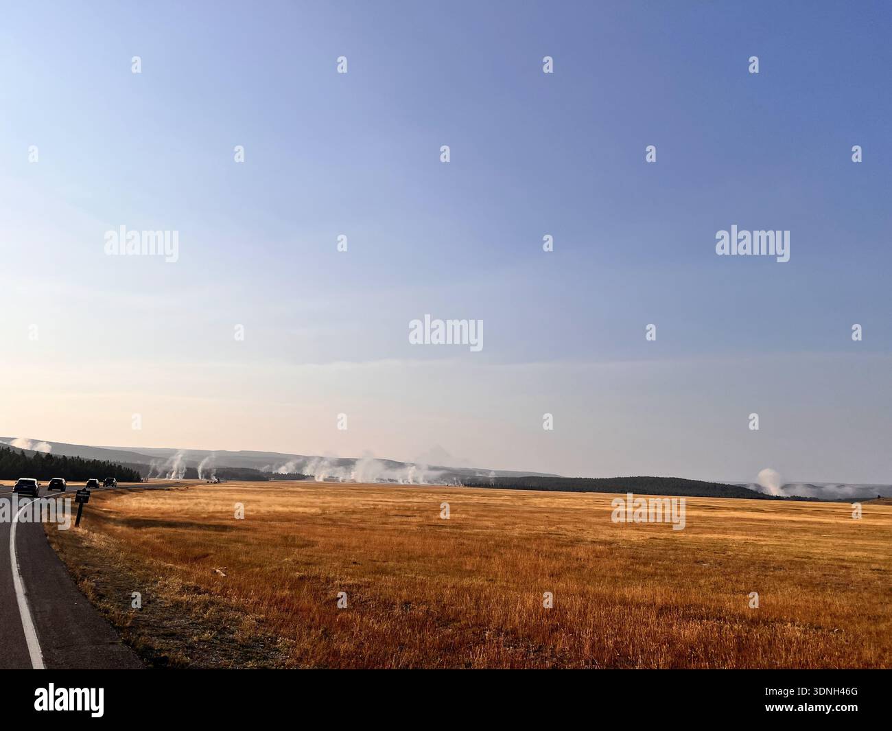 Dampf steigt aus einer riesigen goldenen Ebene auf, während Autos eine ruhige Straße fahren und eine dramatische geothermische Landschaft, umgeben von Wald und klarem blauen Himmel, enthüllen. - Smartphone-aufgenommenes Stockfoto