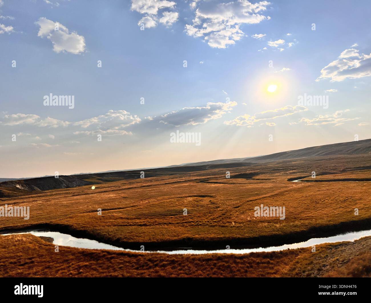 Dampf steigt aus einer riesigen goldenen Ebene auf, während Autos eine ruhige Straße fahren und eine dramatische geothermische Landschaft, umgeben von Wald und klarem blauen Himmel, enthüllen. - Smartphone-aufgenommenes Stockfoto
