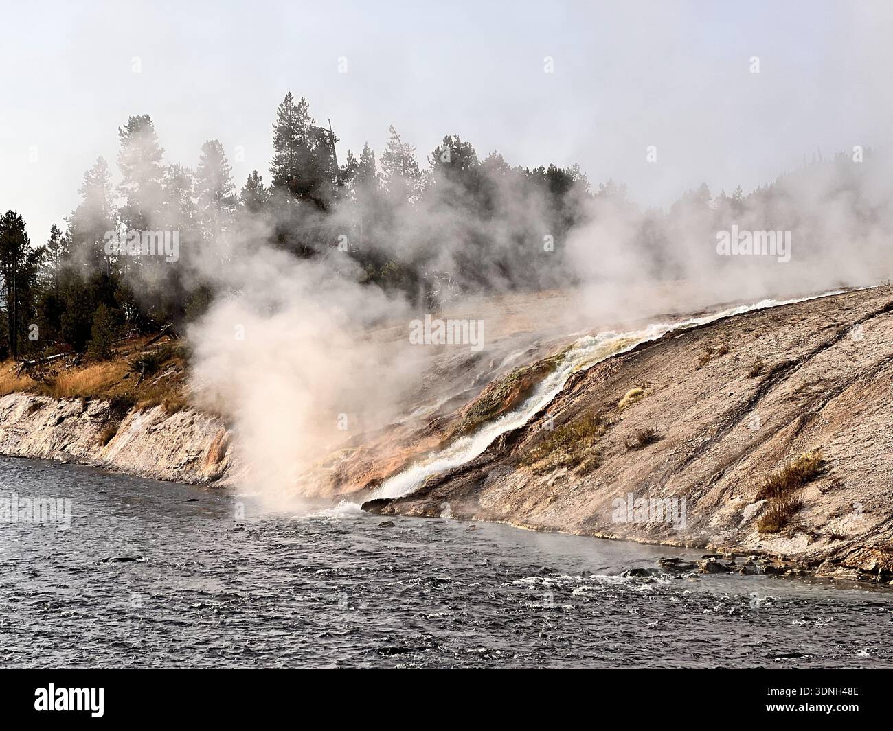 Dampf steigt aus einem geothermischen Fluss auf, der sich durch felsige Hänge und bewaldete Hügel schlängelt und eine dramatische Mischung aus Hitze, Nebel und unberührtem natürlichem wi erzeugt - Smartphone-aufgenommenes Stockfoto