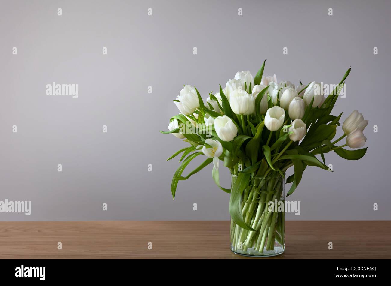 Weißes Tulpenstrauß in klarer Glasvase auf Holzoberfläche mit Kopierraum, weichem natürlichem Licht und moderner minimaler Ästhetik. Stockfoto