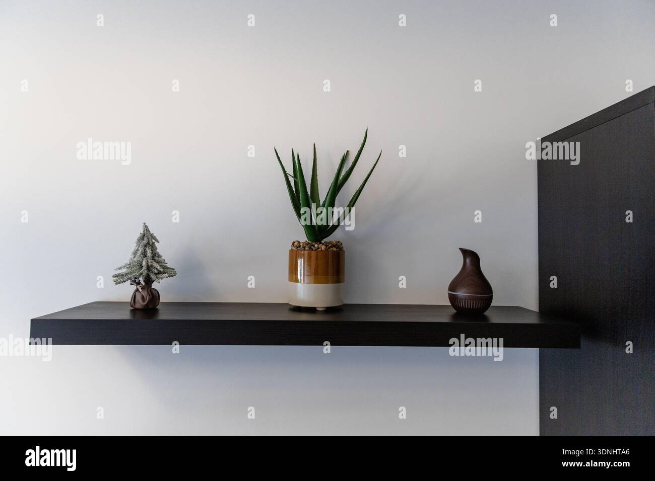 Minimal Shelf Aloe Plant Tree Figurenvase Stockfoto