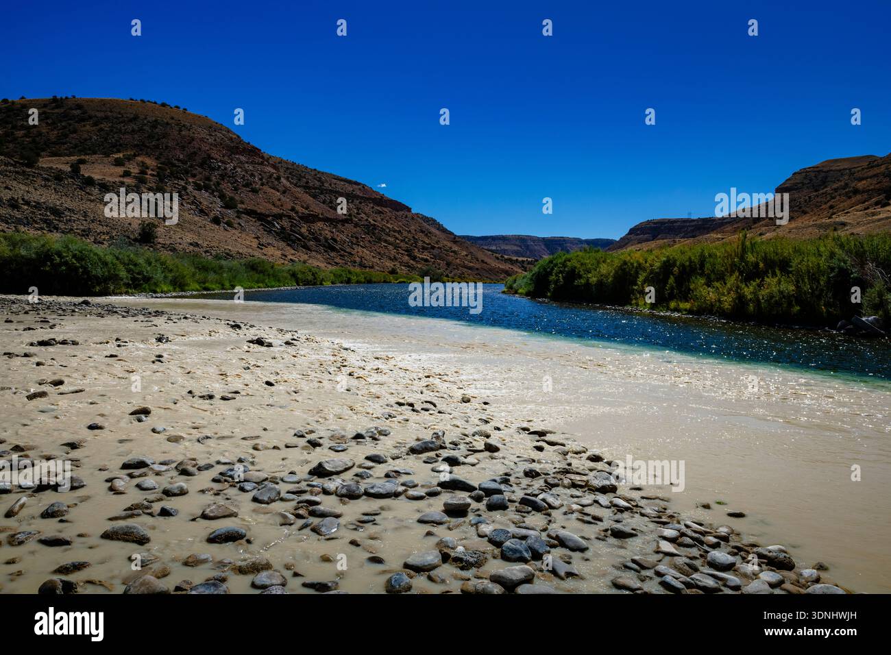 Der Gunnisson River, der aus dem Canyon fließt Stockfoto