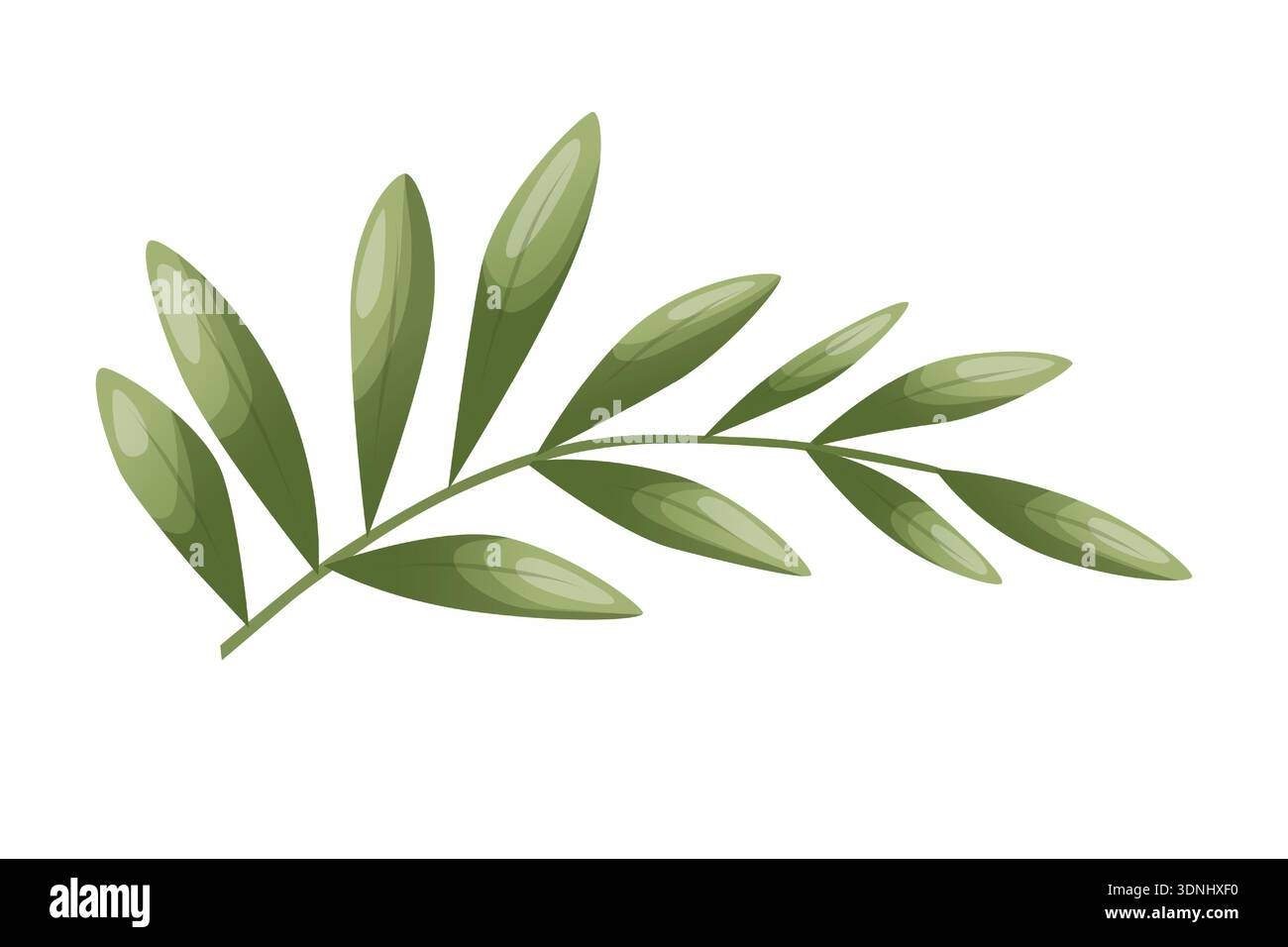 Ein Olivenzweig mit langen grünen Blättern. Vektorillustration mit weichen Farbverläufen. Botanisches Element für Logos, Verpackungen, Branding, Einladungen Stock Vektor