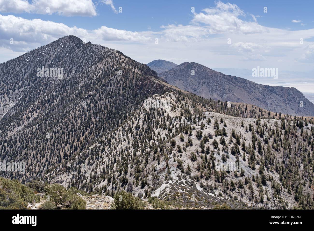 Der Keynot Peak ist der Höhepunkt der südlichen Inyo Mountains in Ostkalifornien zwischen dem Saline Valley und dem Owens Valley Stockfoto