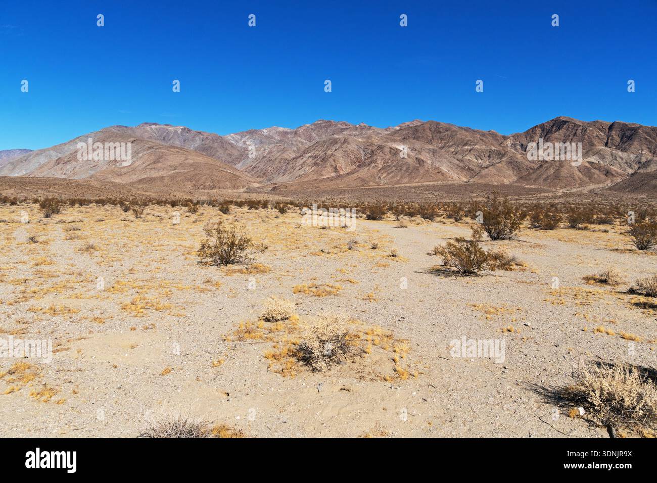 Santa Rosa Mountains im Anza Borrego State Desert Park in Kalifornien Stockfoto