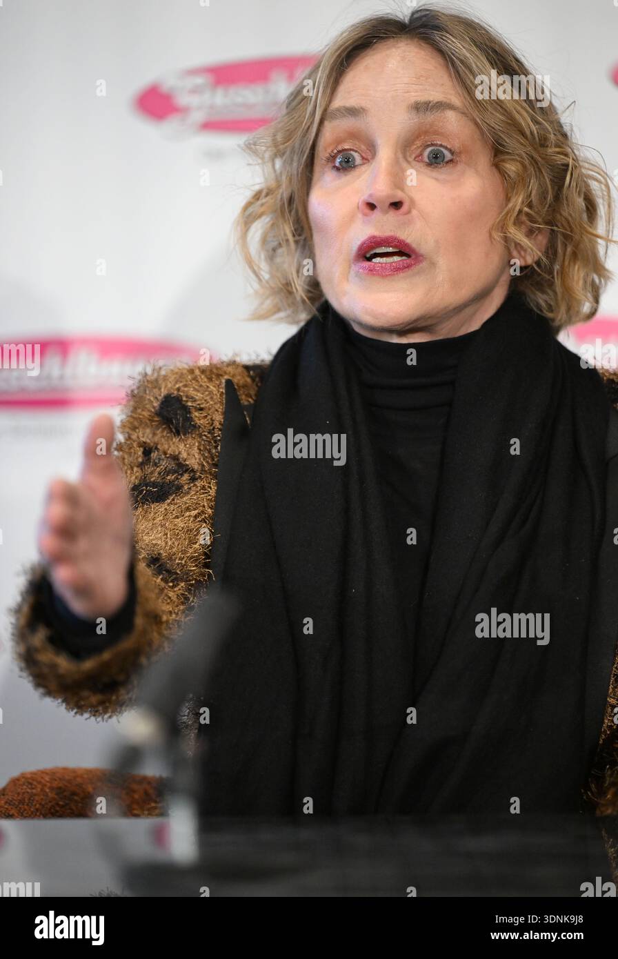 Eine Pressekonferenz im Schaumrollenkönig in St. Willibald, Österreich, am Dienstag, 10. Februar 2026 mit Opernballstar Sharon Stone. Sharon Stone - 20260210_PD14203 Credit: APA-PictureDesk/Alamy Live News Stockfoto