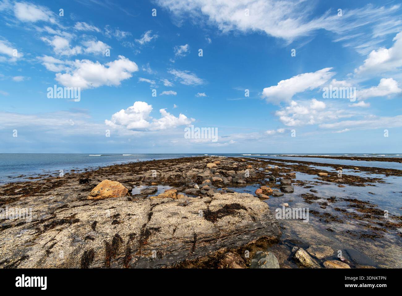 Robin Hoods Bay, North Yorkshire Stockfoto