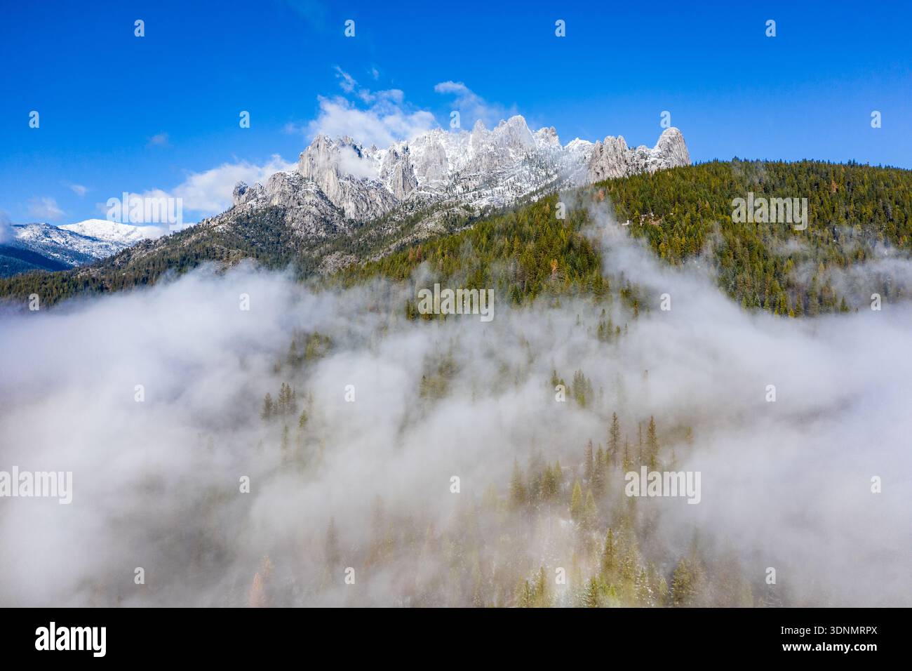 Dichter Nebel rollt durch ein bewaldetes Bergtal in der Kaskadenkette Nordkaliforniens und schafft eine ätherische Szene, während sich der Nebel zwischen... Stockfoto