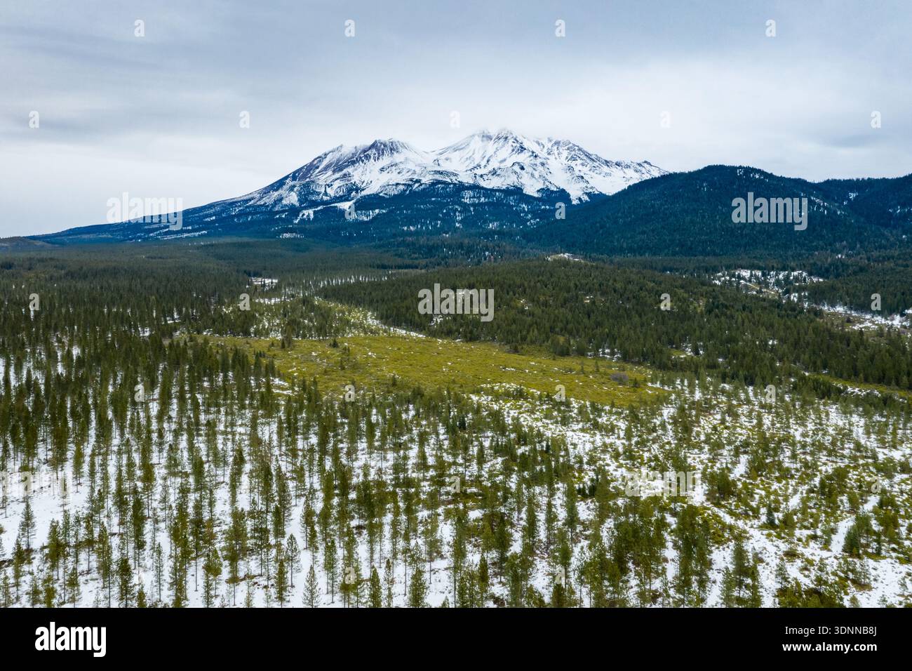 Der schneebedeckte Mount Shasta erhebt sich über einen Kiefernwald, wie man von einer Drohne im nordkalifornischen Siskiyou County aus sehen kann. Die ruhenden Stratovulkantürme... Stockfoto