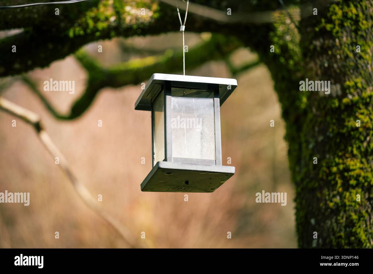 Vogelhäuschen hängen am Baum Stockfoto