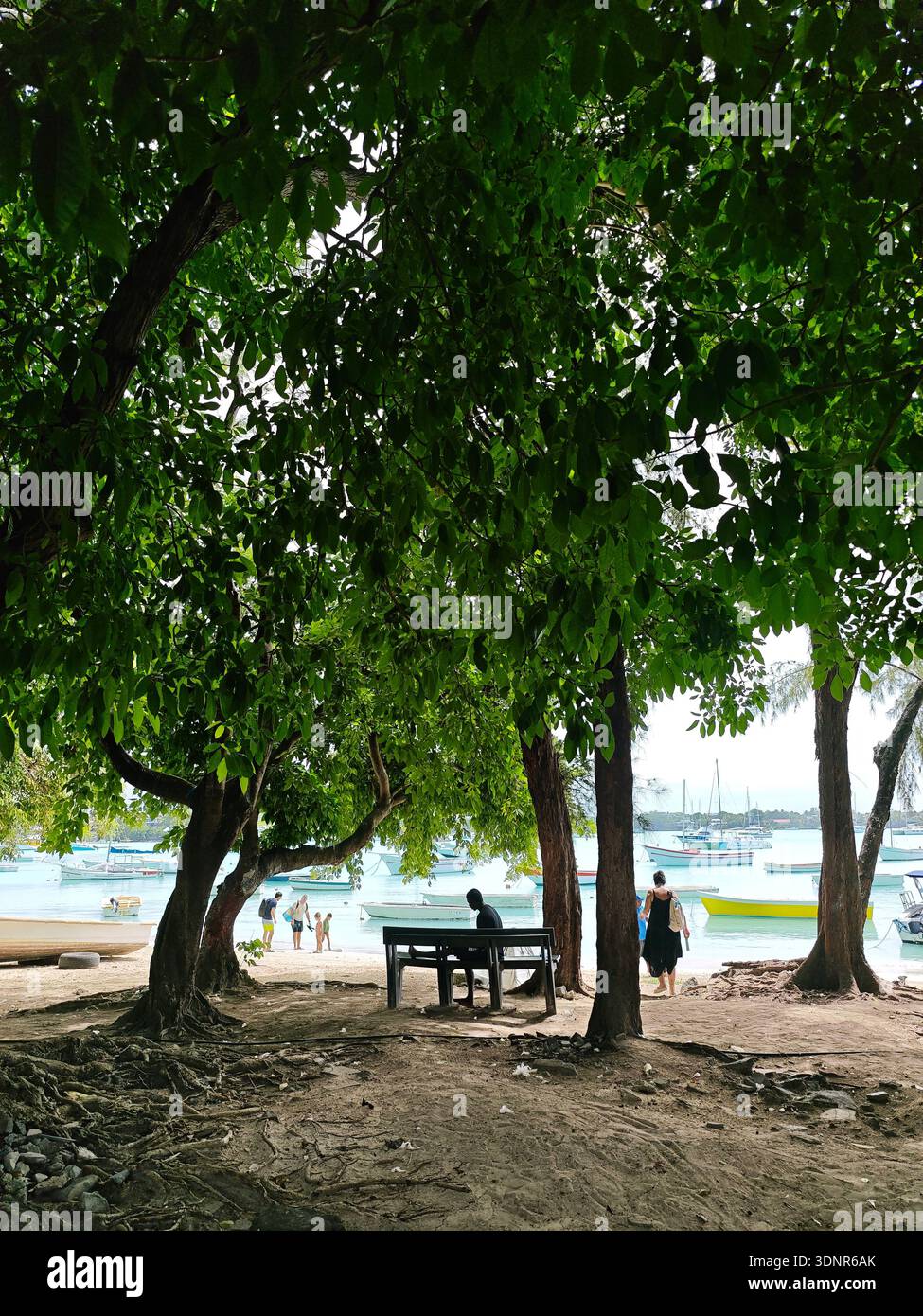 Silhouettenfigur an einem Tisch unter üppigen Bäumen mit Blick auf eine türkisfarbene Lagune mit kleinen Booten, Mauritius, Januar 2026. Stockfoto