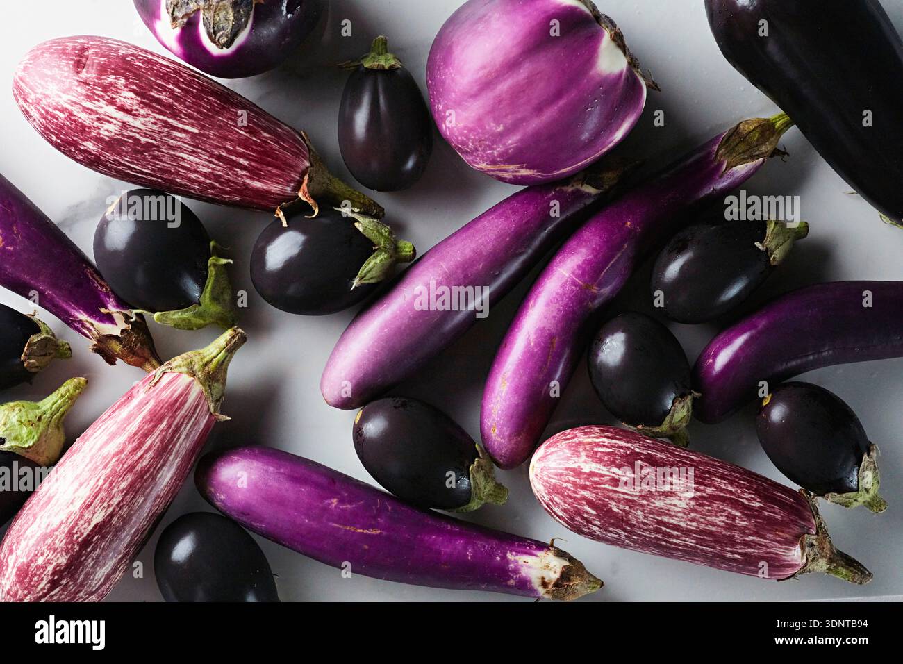 Verschiedene Arten von Auberginen Stockfoto