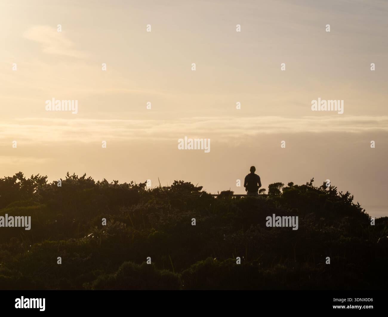 Eine einsame, nicht identifizierbare Person steht vor warmem Sonnenuntergangslicht über der Küstenvegetation. Stockfoto