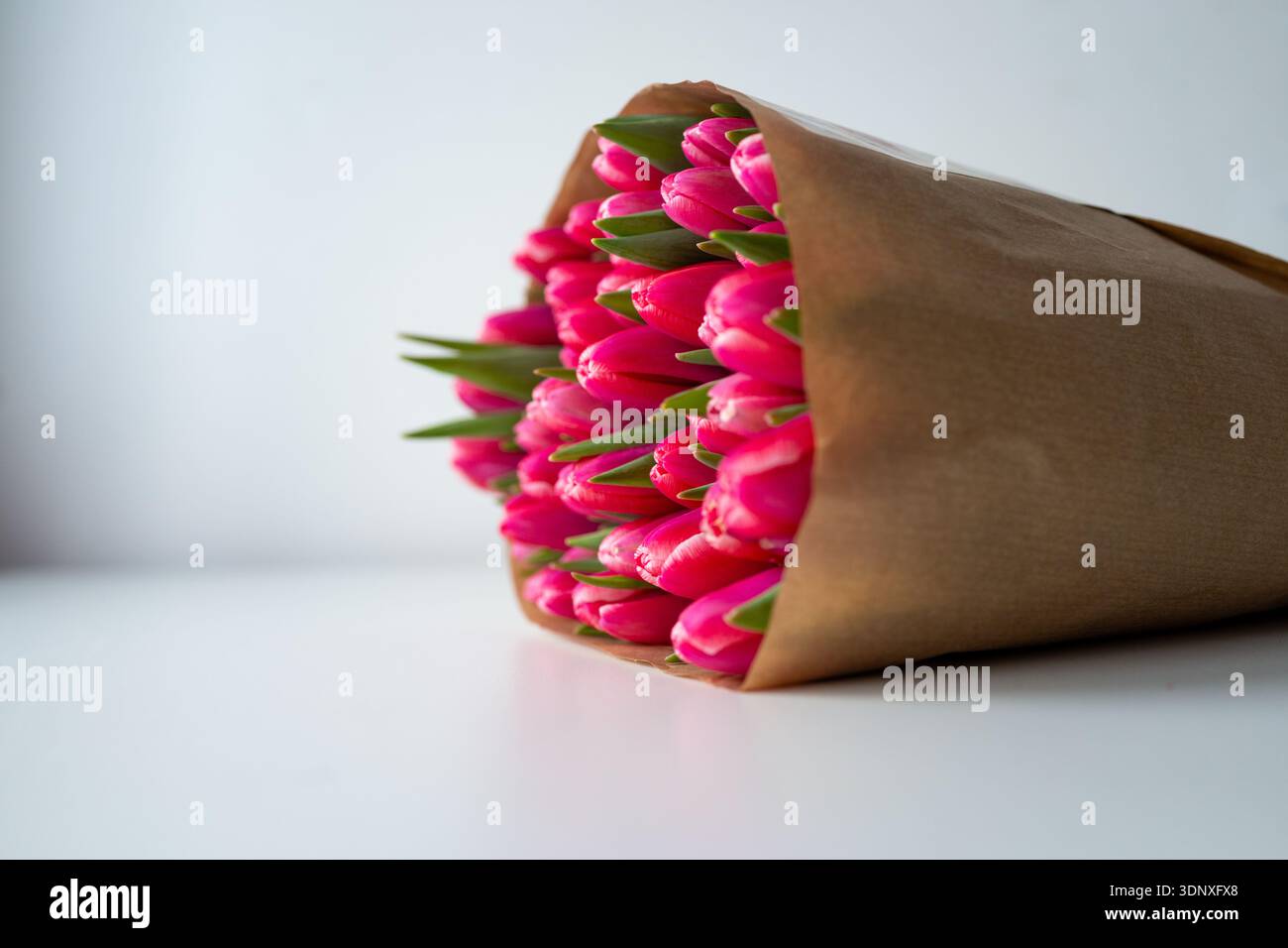 Pinkfarbenes Tulpenblütenstrauß pinkfarbenes Tulpenstrauß exzentrisch auf weißer Oberfläche mit viel negativem Raum Stockfoto