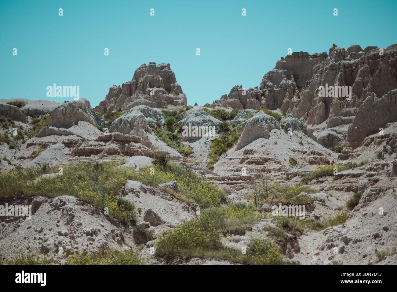 Black Hills, South Dakota Stockfoto