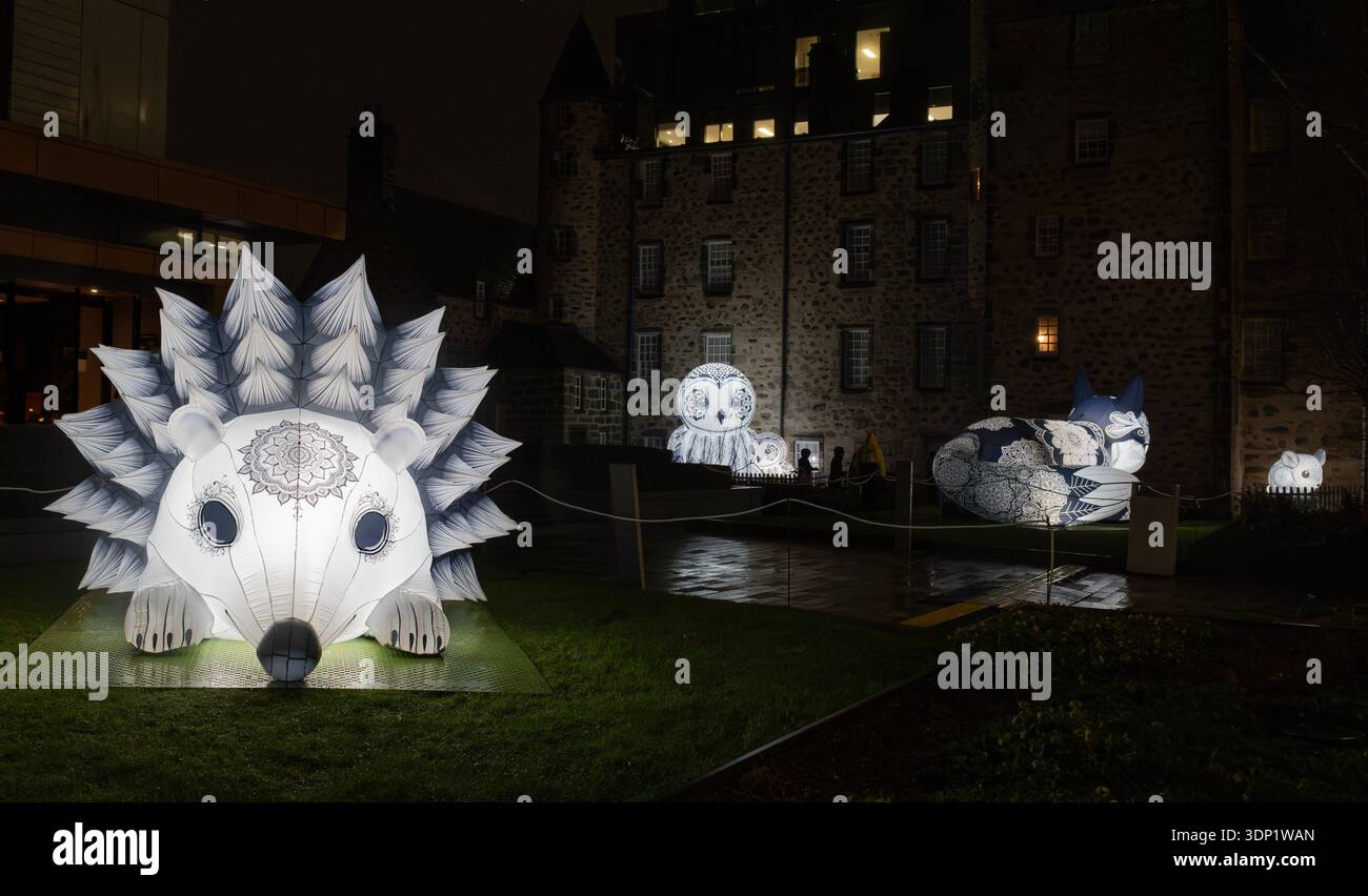 Beleuchtete Tiere (Igel, Eule, Wolf und Maus), Teil der „nächtlichen“ Installation von Glow Art Creations am Marischal Square, Aberdeen. Stockfoto