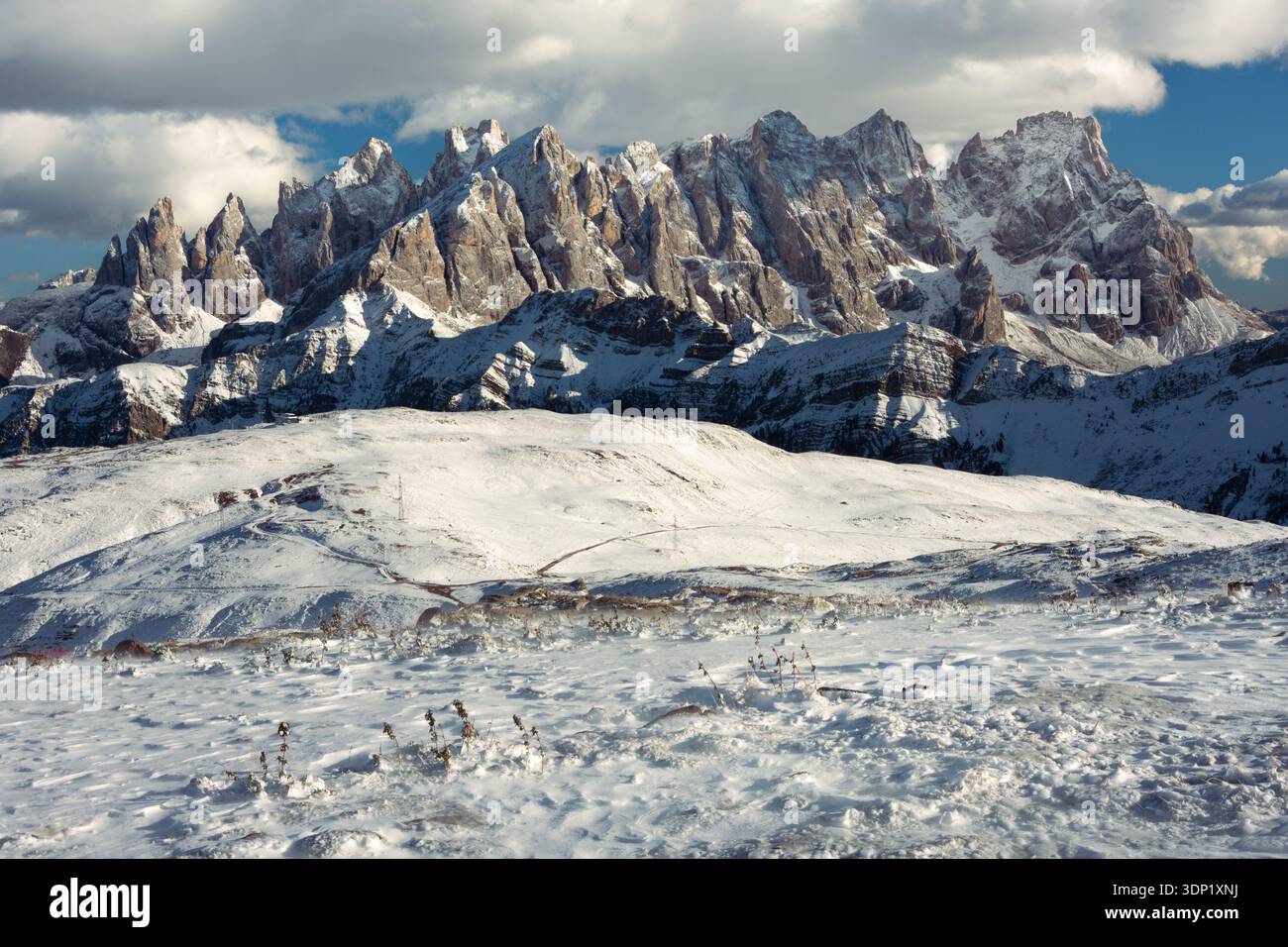 Schneebedecktes Pale di San Martino mit zerklüfteten Dolomitengipfeln unter weichem Licht und teilweise bewölktem Himmel Stockfoto
