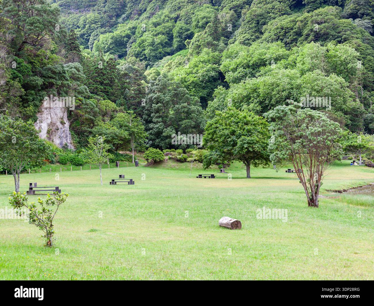 Grüne Wiese im Kratersee Sete Cidades. Caldera-Landschaft auf der Insel Sao Miguel, Azoren, Portugal. Stockfoto