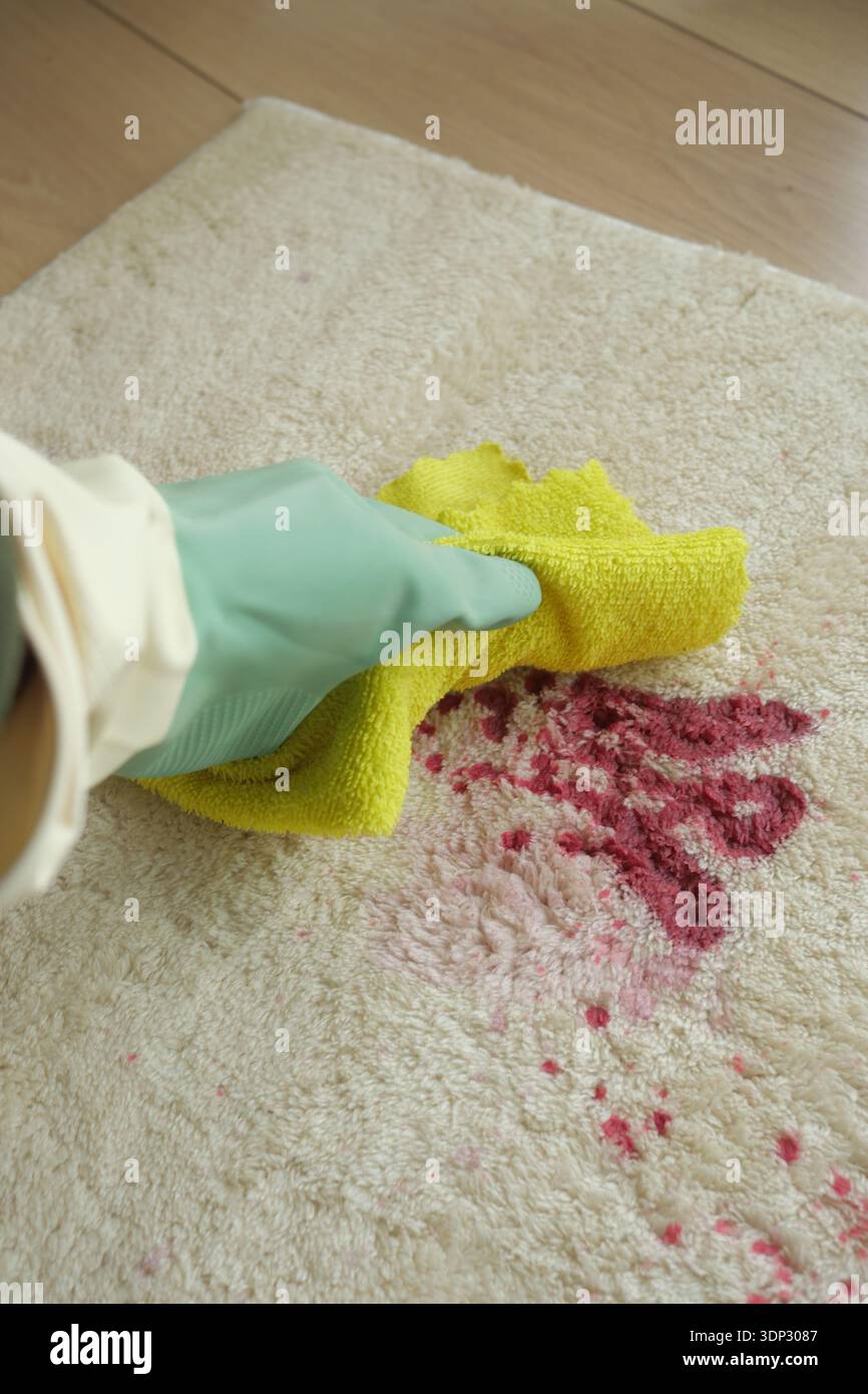 Reinigen Sie einen Teppichfleck mit einem Handtuch in einem hellen Raum Stockfoto