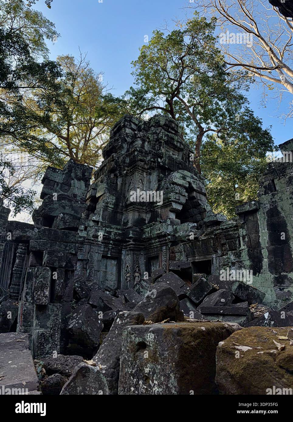 Erkunden Sie den Ta Prohm Tempel in der Gegend Angkor in der Nähe von Siem Reap, Kambodscha - majestätische Strukturen und Bäume Stockfoto