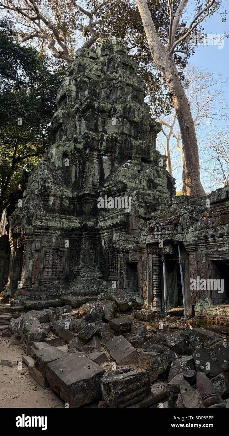 Erkunden Sie den Ta Prohm Tempel in der Gegend Angkor in der Nähe von Siem Reap, Kambodscha - majestätische Strukturen und Bäume Stockfoto
