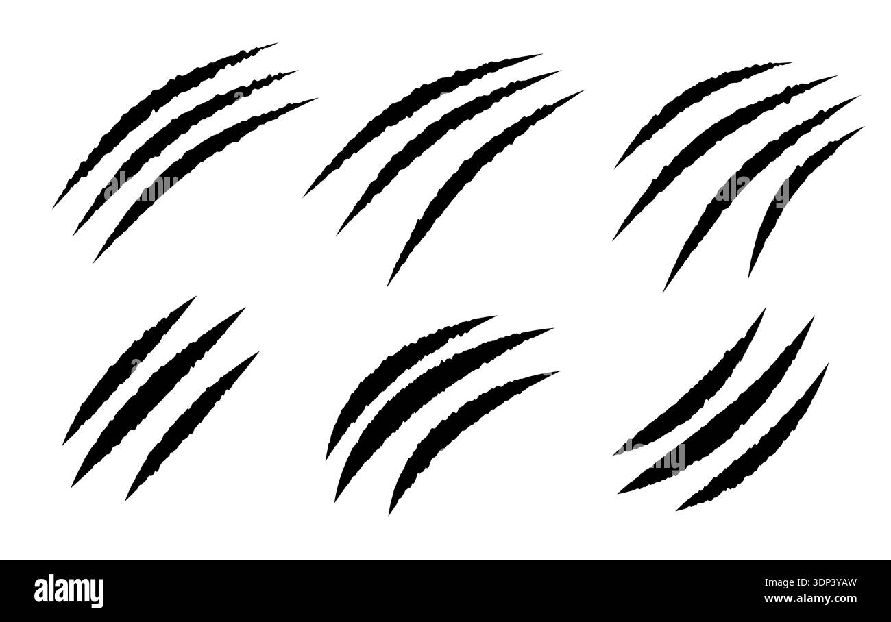 Kratzspuren der Klauen auf weißem Hintergrund, schwarze Bären- und Tigertiere in flachem Vektor-Stil, perfekt für wilde Designkonzepte, Gefahr Stock Vektor