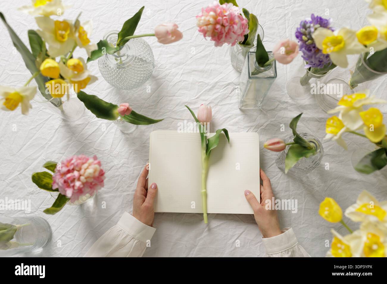 Draufsicht auf offenes Notizbuch mit Tulpe, umgeben von Frühlingsblumen in Vasen. Ideal für Floristik-Branding, saisonale Werbung und kreatives Marketing Stockfoto