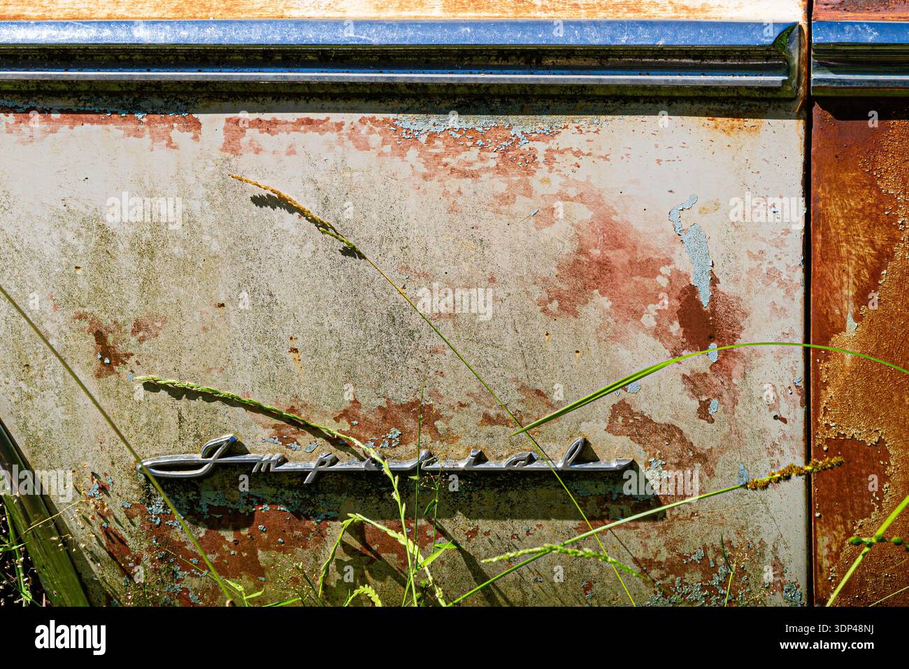 Nahaufnahme einer verwitterten Autotür mit abblätternder Farbe und Rost. Stockfoto