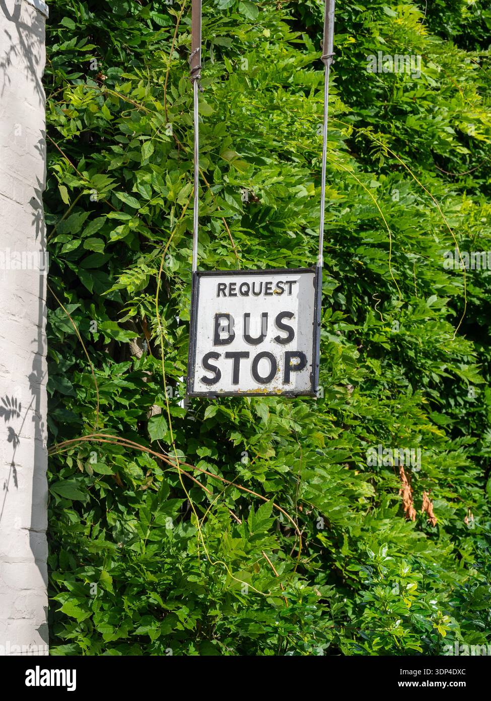 Ein Schild mit hängender Bushaltestelle vor grünem Laub, Dedham Village, Essex, Großbritannien Stockfoto