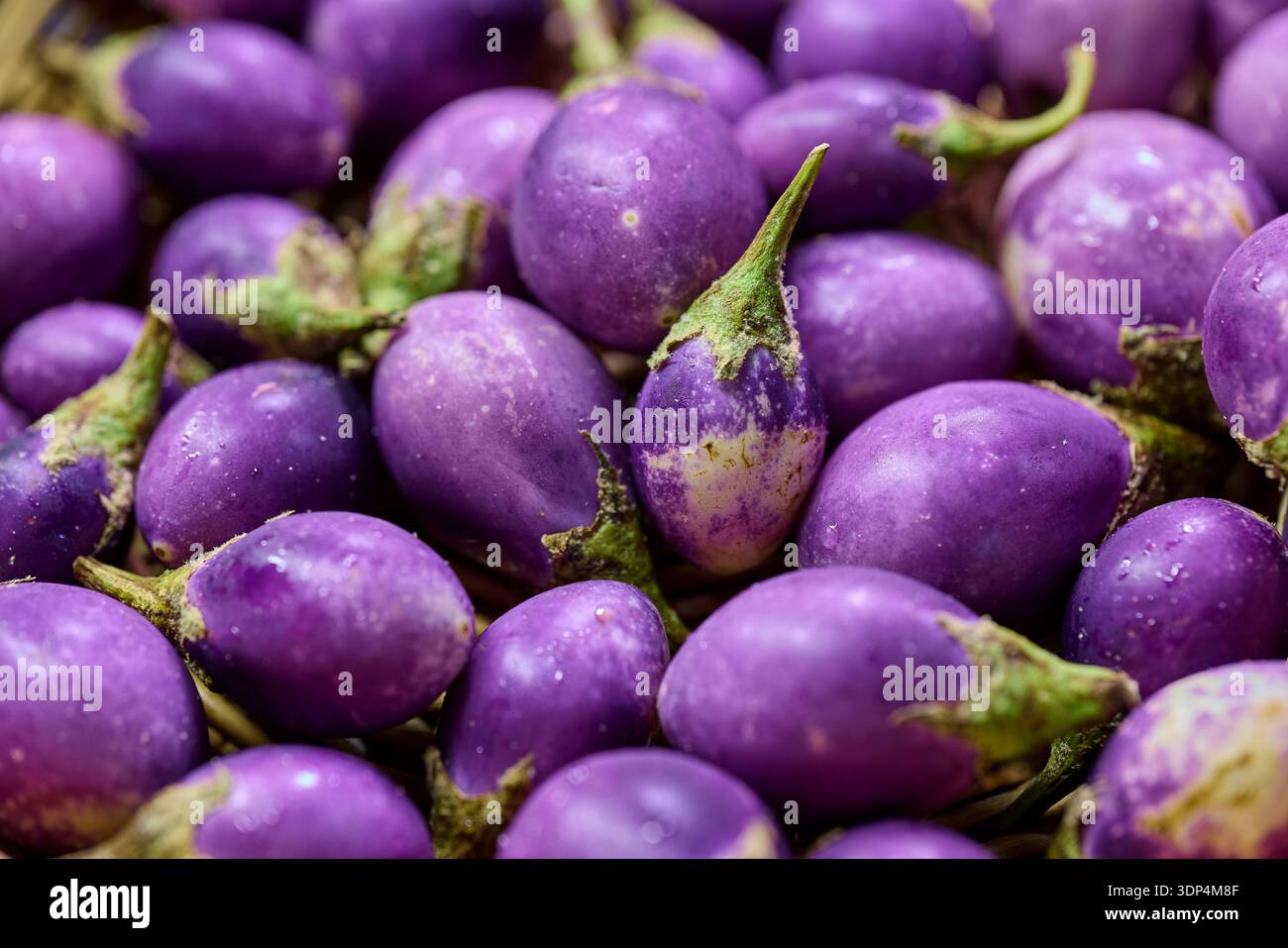 Vollformataufnahme frischer violetter Auberginen Stockfoto