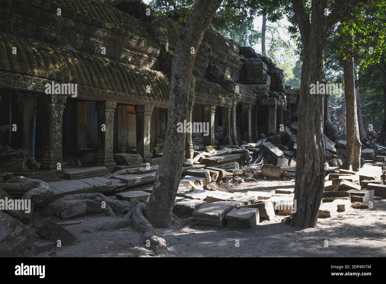 Details im Ta Prohm Tempel (Roots Tempel) Stockfoto