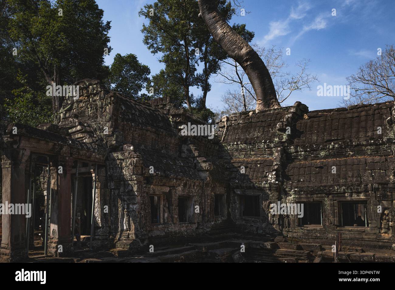 Details im Ta Prohm Tempel (Roots Tempel) Stockfoto