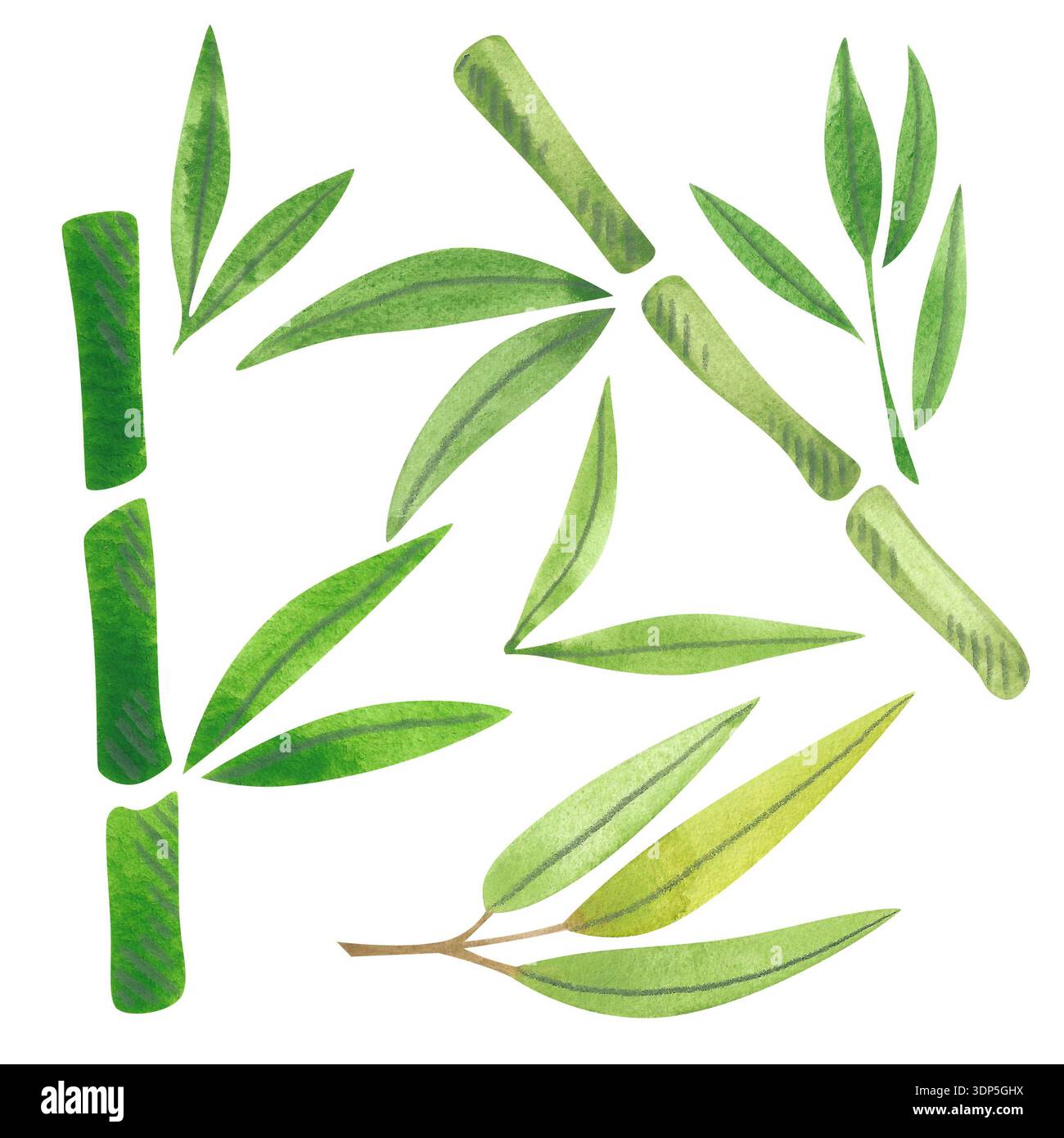 Bambusblätter und -Zweige. Handgezeichnete Aquarellillustration. Hellgrüne Pflanzen und rosa Knospen. Asiatische Kultur und Urlaubsgestaltung. Stockfoto