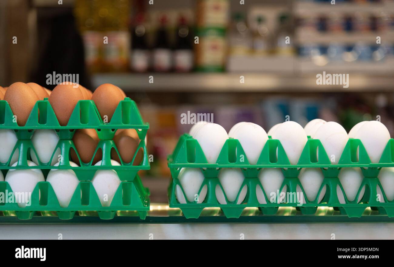 Verschiedene frische Eier in wiederverwendbaren grünen Kunststoffschalen, bereit für den Verkauf in einem verschwommenen Markt oder Geschäft. Gesunde Ernährung. Quelle von Prote Stockfoto