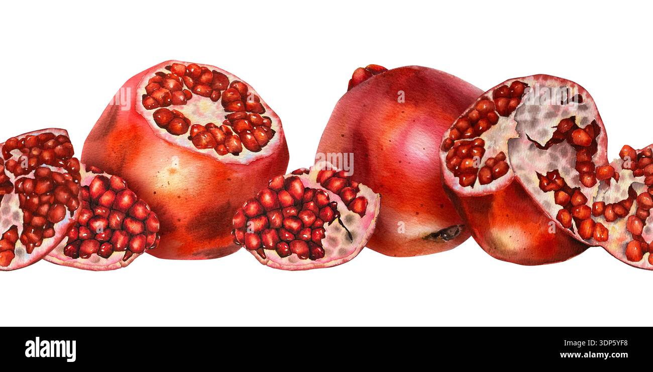 Aquarellrand mit Granatäpfeln: Ganze Früchte, Scheiben und saftige rote Samen. Illustration für Verpackungen, Textilien, Tapeten, kosmetisches Labor Stockfoto