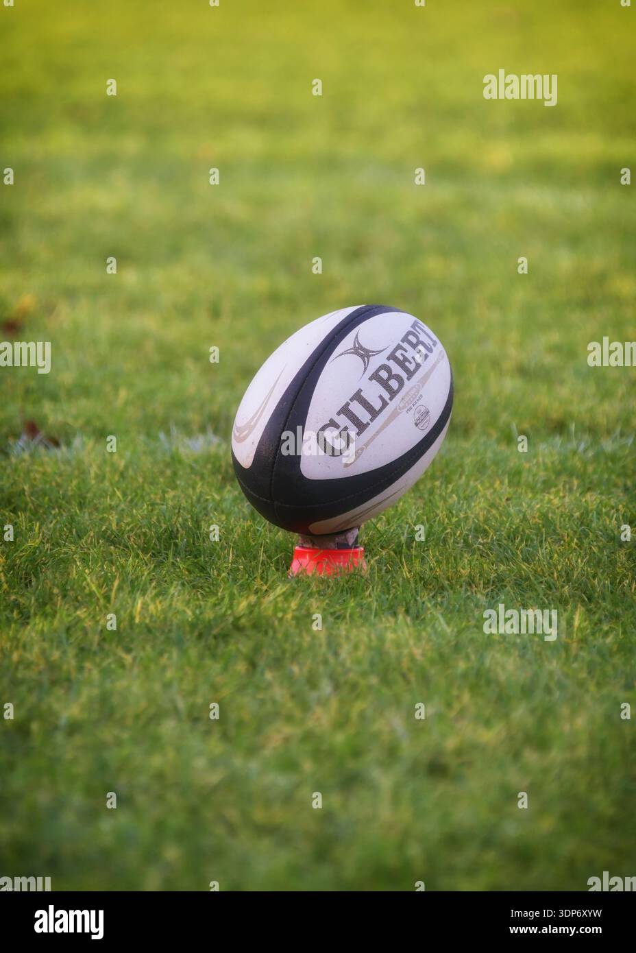 Rugbybälle Stockfoto