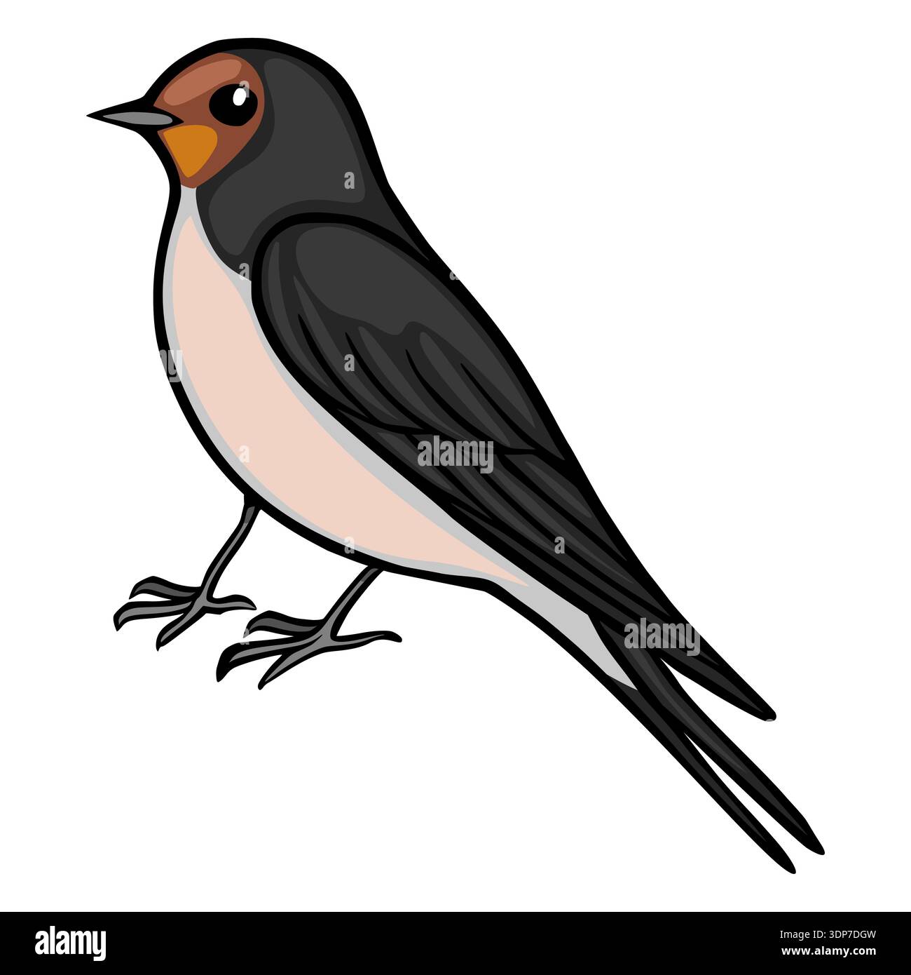 Niedliche Scheune Schwalbe Vogel Illustration, Vektor Stock Vektor