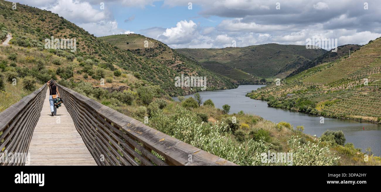 Eine junge Frau, die auf einem Holzsteg im Douro- und CoA-Tal auf den Spuren der berühmten steinzeitlichen CoA-Petroglyphen in Portugal spaziert Stockfoto