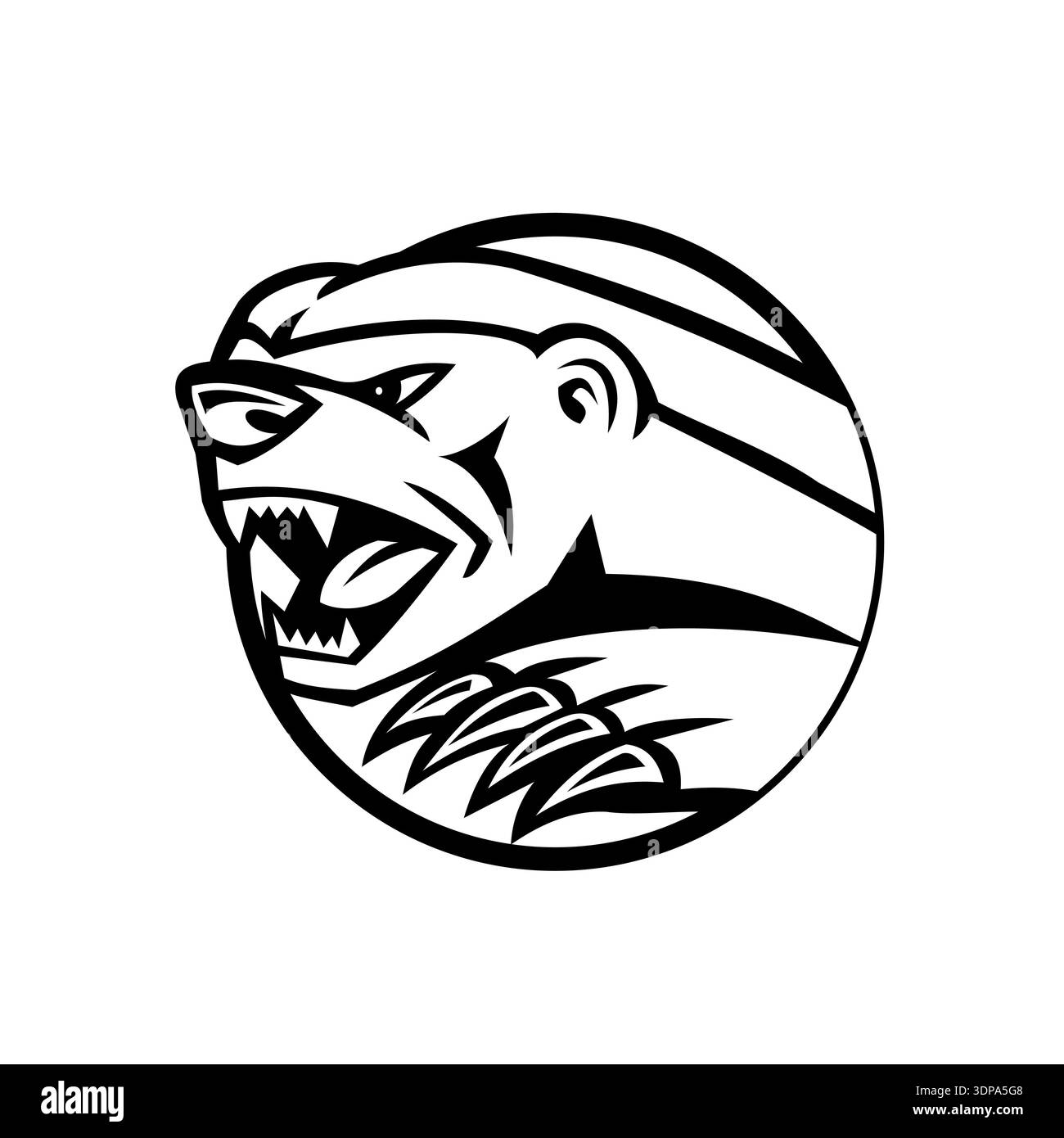 Schwarz-weiße Abbildung des Kopfes eines wütenden Honigdachs, auch bekannt als Ratel, die einzige Art in der musteligen Unterfamilie Mellivorinae, swipi Stockfoto