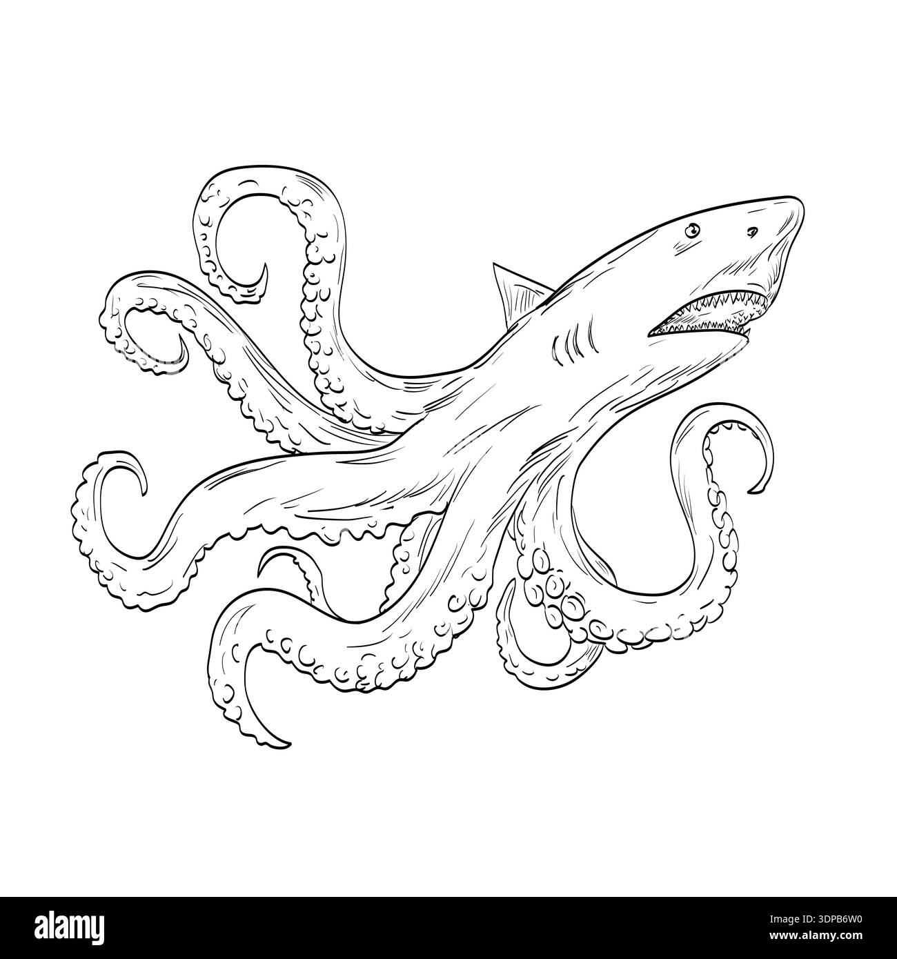 Zeichnung einer Illustration im Skizzenstil einer Lusca in der karibischen Folklore, eines Meeresmonsters halb Hai, halb Oktopus in den blauen Löchern von Andros auf den Bahamas Stockfoto