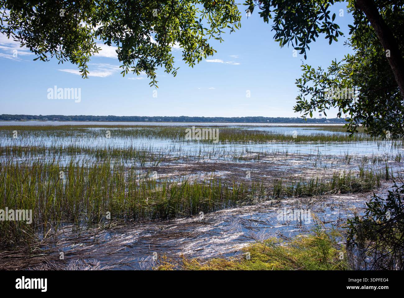 Tidalholm ist ein berühmtes Haus in Beaufort, South Carolina Stockfoto