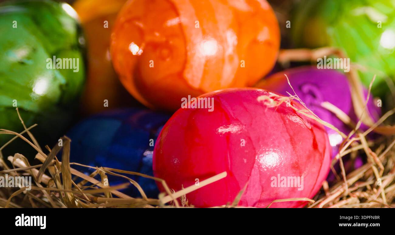 Bunte Eier in einem Nest während der Frühlingsfeste in einem warmen Innenbereich Stockfoto