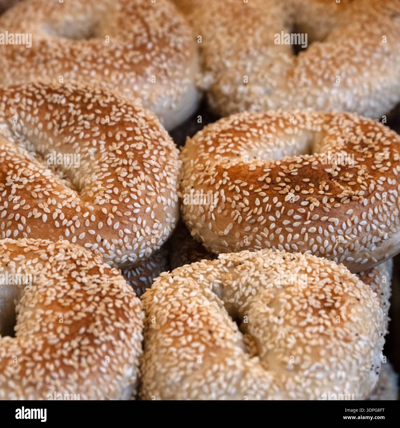 Nahaufnahme von frisch gebackenen Sesam-Bagels in einer Bäckerei auf einem Lebensmittelmarkt Stockfoto