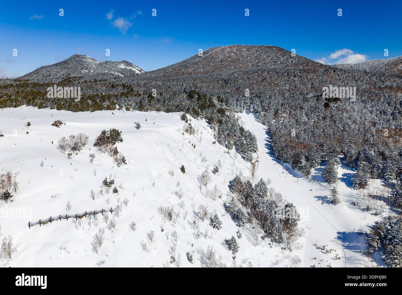 Luftansicht auf Lawinennetze an einem steilen verschneiten Hang in Nagano, Japan Stockfoto