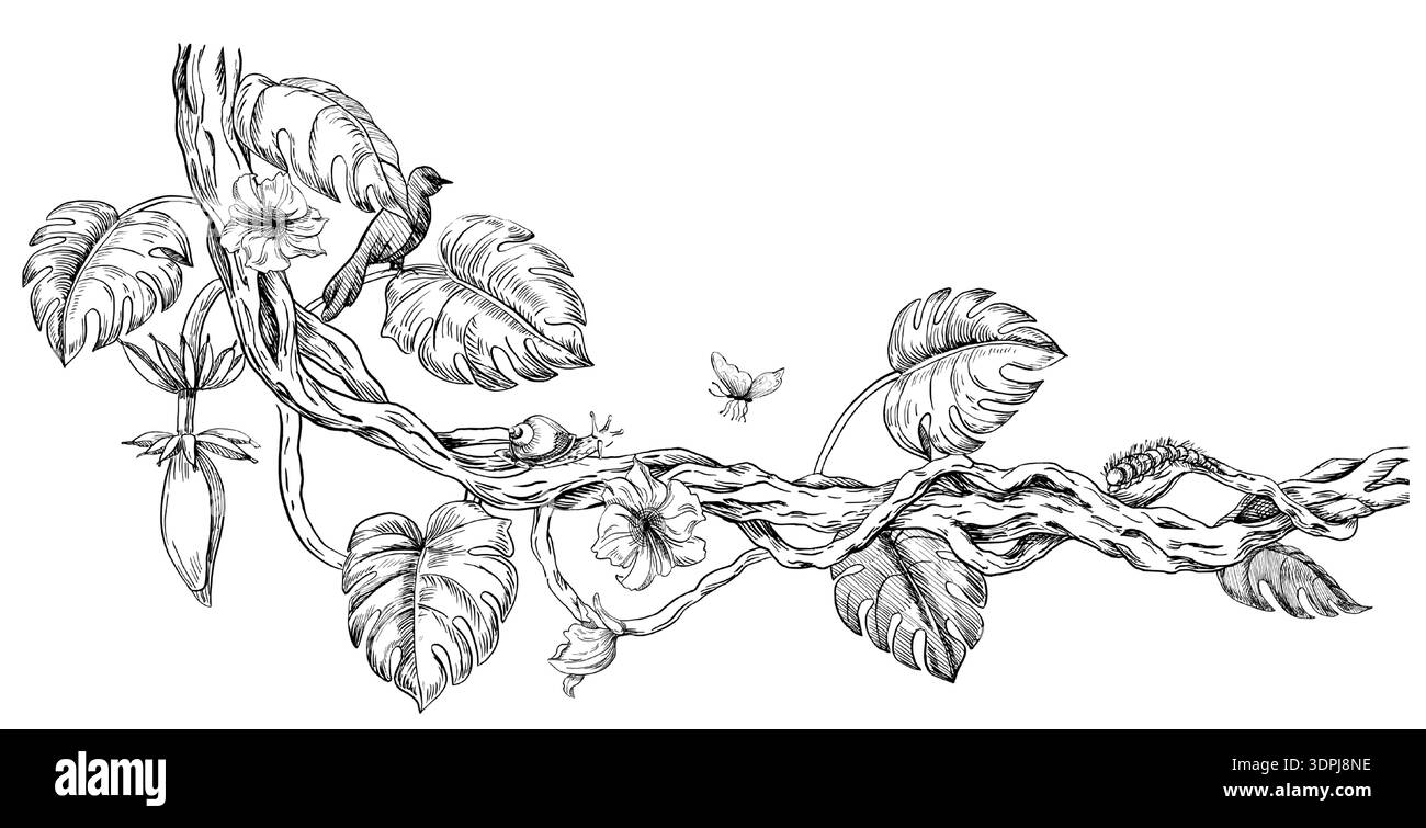 Eine gewundene Linie mit Monsterablättern, Bananenfrüchten, tropischen Blumen und Insekten. Eine realistische Vektorillustration tropischer Pflanzen für den Innenraum Stock Vektor